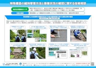 技術支援レポート「特殊橋梁の維持管理方法と損傷状況の確認に関する技術相談」