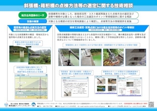 技術支援レポート「斜張橋・箱桁橋の点検方法等の選定に関する技術相談」