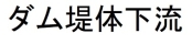 堤体下流(高さ40)