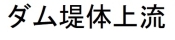 堤体上流(高さ40)