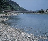 那珂川