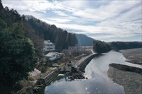 堤防基盤整備工事の進捗写真