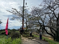 花は桜木　人は職人