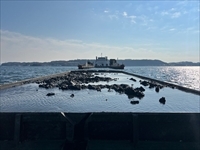 クジラに食べられる魚の気分