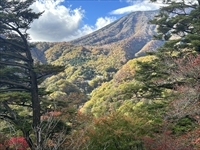 現場から映る「いろは坂」