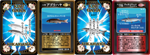 おさかなカード4枚