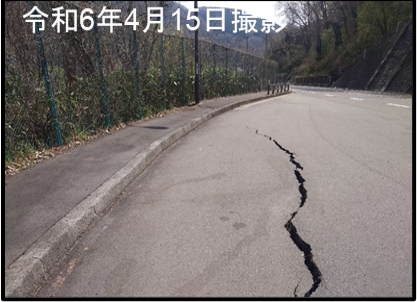 路面亀裂の状況