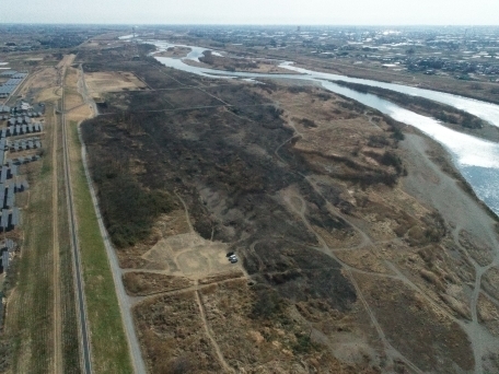 利根川177k付近：令和７年２月１２日撮影