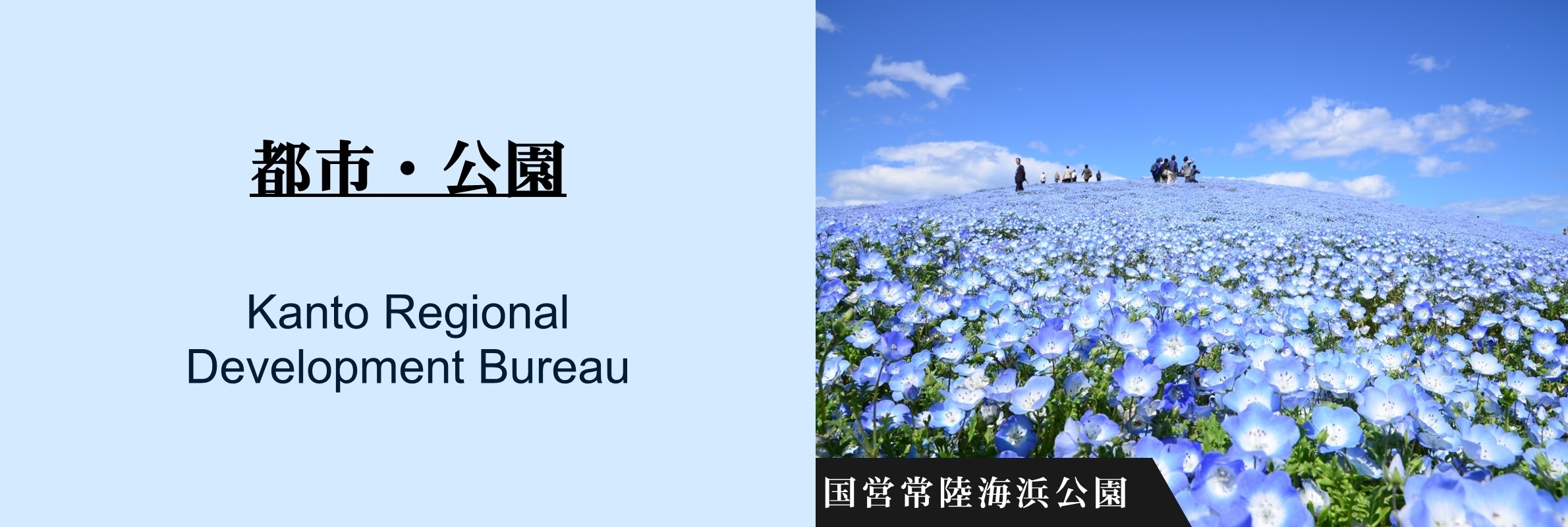都市・公園：国営常陸海浜公園