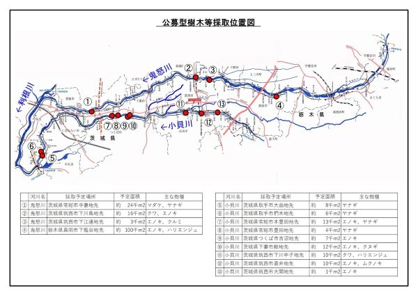 Ｒ７公募伐採チラシ2