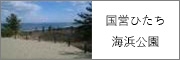国営ひたち海浜公園
