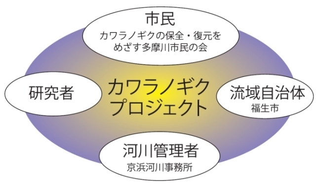 カワラノギクプロジェクトの関係図