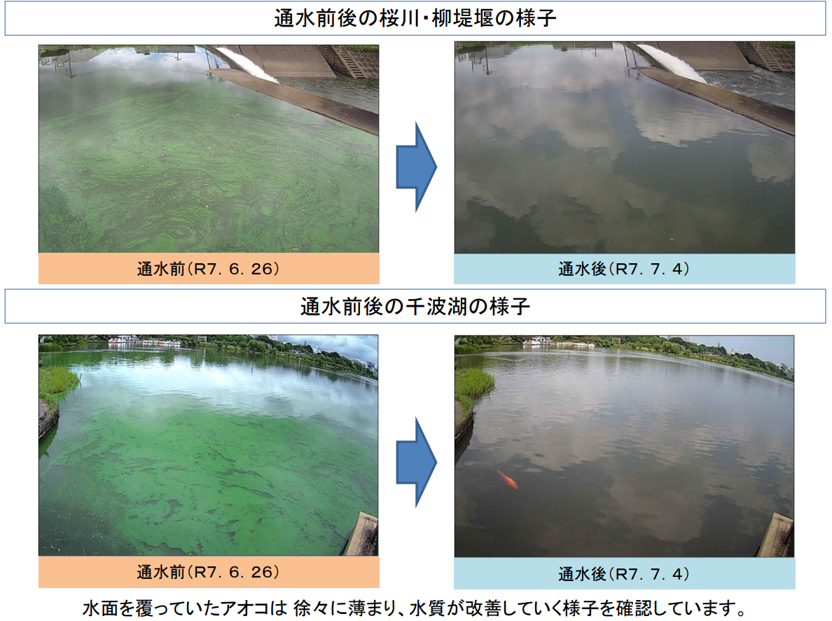 R７桜川試験通水実施状況
