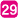 29