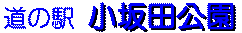 ̉wc