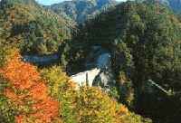 瀬戸合峡紅葉
