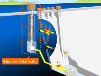 Selective intake facility