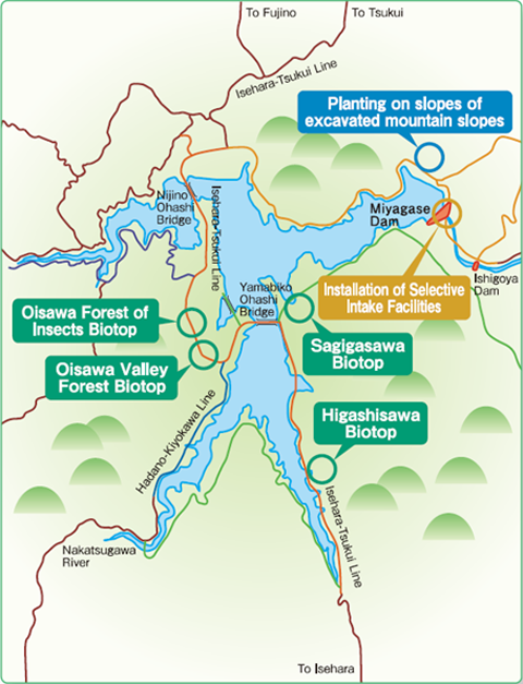 Examples around Lake Miyagase
