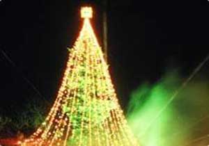 Fir tree illuminations