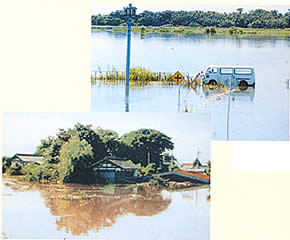 �i�����j���a61�N8���@���َs��q���@�i�E��j���َs�ѓc