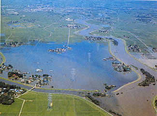 ���a61�N���َs��q��