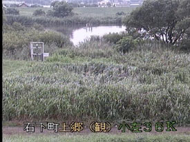 小貝川　浜田地先
