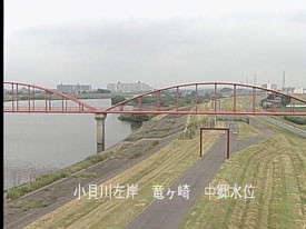 小貝川　浜田地先