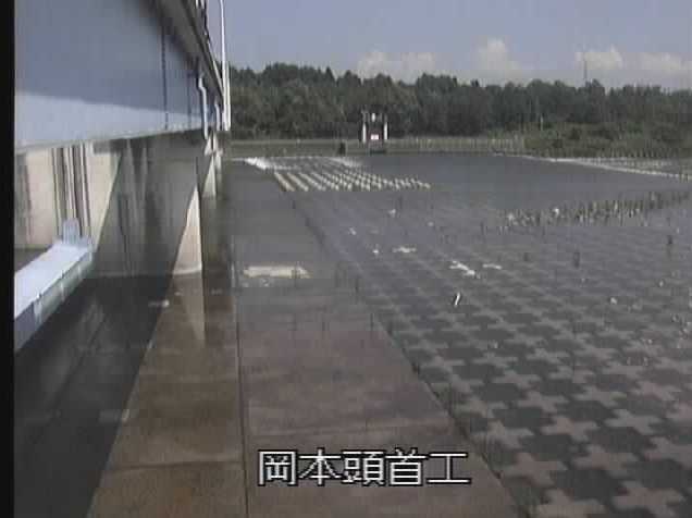 平常時の写真