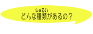 ǂȎނ́H
