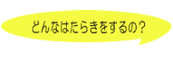 ǂȂ͂炫́H