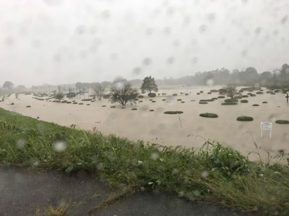 増水時の烏川