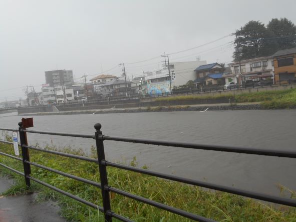 増水時の古利根川