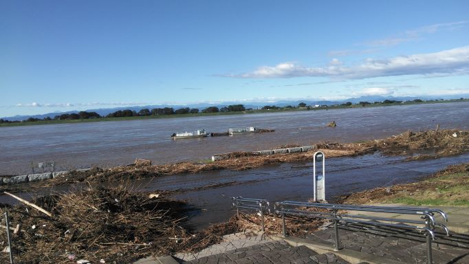 利根川赤岩渡船場付近 増水後の利根川周辺の様子