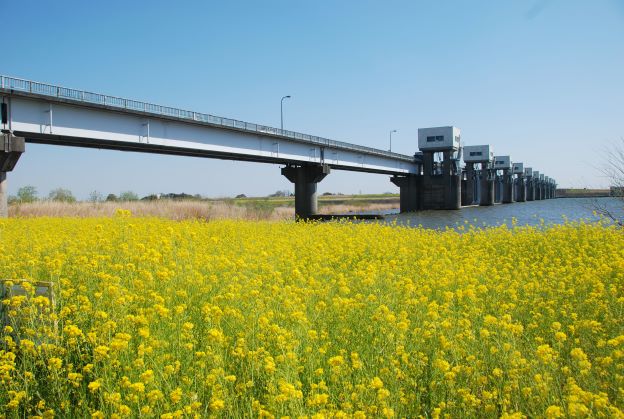 千代田町周辺 利根大堰
