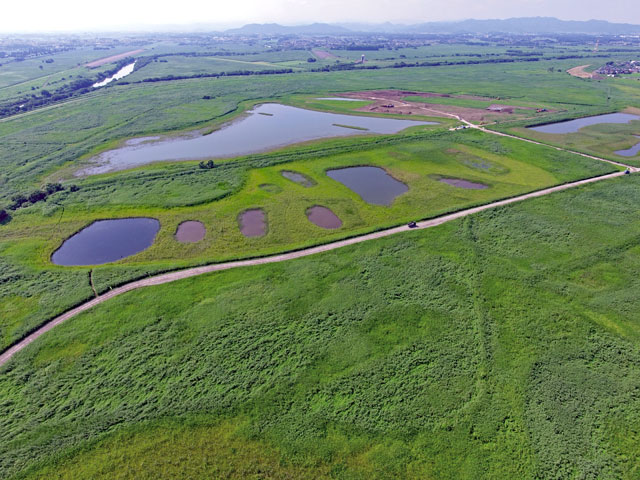 [Photo]Watarase-yusuichi’s wetland