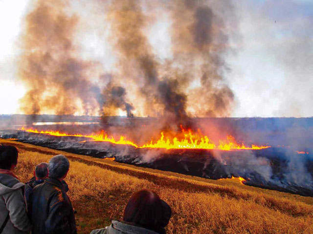 Burning of Reeds