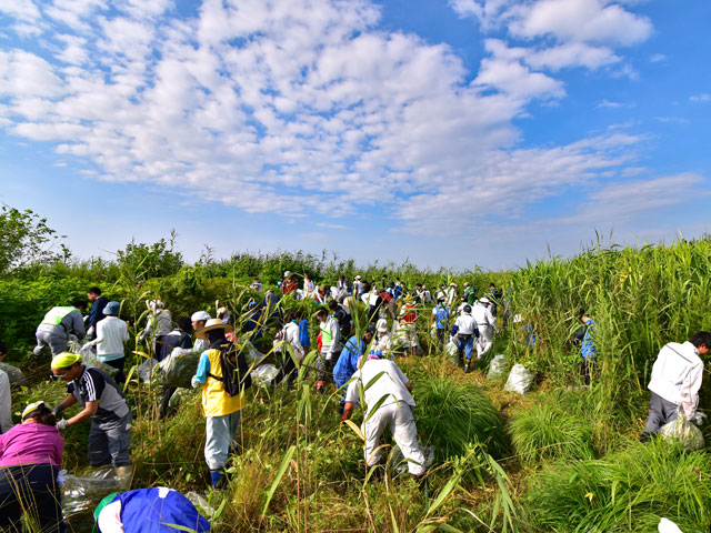 【写真】地域住民等による環境維持活動の様子