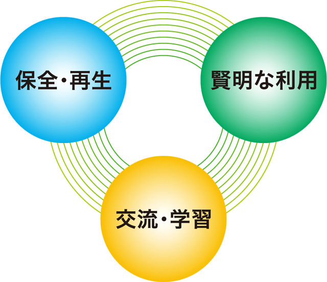 【イラスト】ラムサール条約の３つの柱