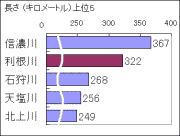̒̔rOt