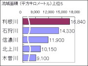 ʐς̔rOt