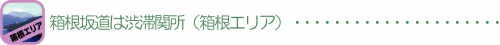 箱根坂道は渋滞関所(箱根エリア)