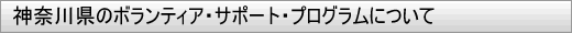 _ސ쌧̃{eBAET|[gEvOɂ