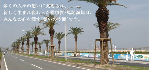 多くの人々の想いに支えられ、
新しく生まれ変わった横須賀・馬堀海岸は、みんなの心を潤す“憩いの空間”です。