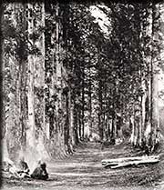 �������X���̐�����