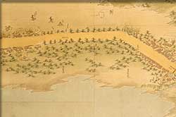 ���h�����V�{���ɂ����Ă̏�����