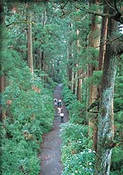 �����̐�����